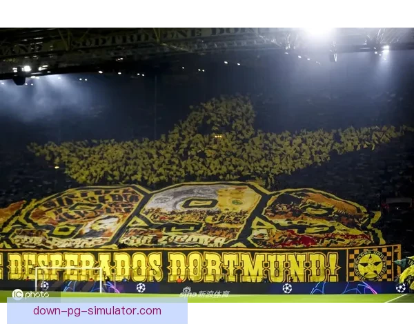 多特蒙德宣布主场球迷看台全面升级数字化导航系统