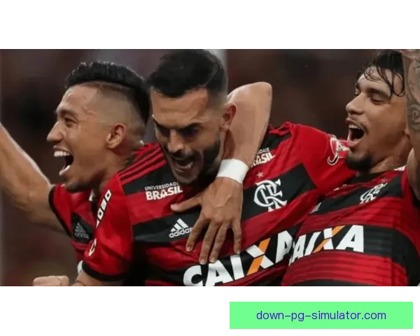 弗拉门戈无缘巴甲冠军主帅被解除职务引发球队震动